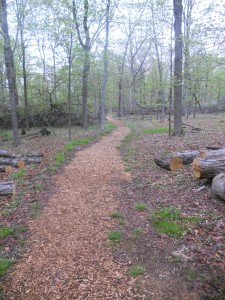 mulching_trails